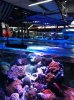 IMG-20120711-WA0003.jpg