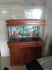 Aquarium 100x45x45.jpg Aquarium 100x45x45.jpg