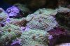IMG_7092.JPG