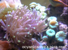Screenshot_2013-11-22-05-08-09-1.png