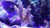 20140925_063911.jpg 20140925_063911.jpg