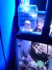 20141008_173031.jpg 20141008_173031.jpg