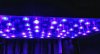 Led Blue On.jpg Led Blue On.jpg