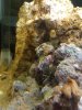 IMG20160102001.jpg