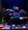 20160327_235814.jpg