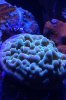 20160327_235940.jpg