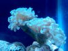 IMG_20160408_144802.jpg