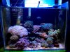 IMG_20160511_140809.jpg