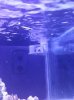 20160630_174359.jpg 20160630_174359.jpg