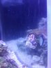 20160630_174443.jpg 20160630_174443.jpg