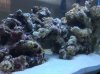 S__5242884.jpg