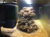 reef3.jpg reef3.jpg
