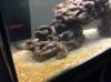 reef2e.jpg reef2e.jpg