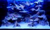 IMG_20160928_190326.jpg
