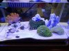 P_20190121_083550_vHDR_Auto_1.jpg P_20190121_083550_vHDR_Auto_1.jpg