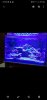 Screenshot_20200610-235036_Gallery.jpg