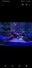 Screenshot_20200610-235257_Gallery.jpg