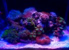 20220902_111653.jpg 20220902_111653.jpg