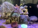 1109EC10-8816-4F2F-B41C-686298BCE58E.jpeg