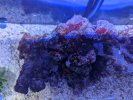 PXL_20240802_195620543.jpg