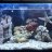 kuple_reefs