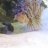 William_vash