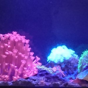 fts.jpg