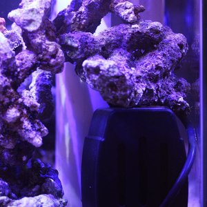 outflow3.jpg