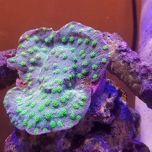 20210121_113832.jpg