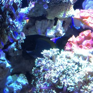 IMG_2425.jpg