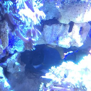 IMG_2426.jpg