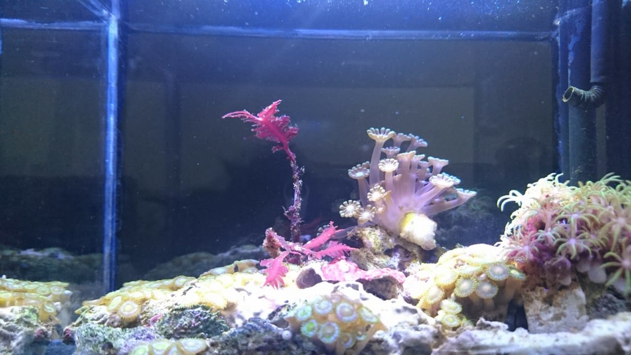 fts